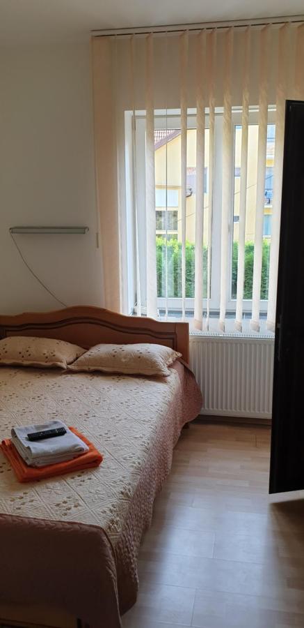 Băile Olăneşti Casa Rosaヴィラ エクステリア 写真