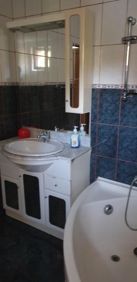 Băile Olăneşti Casa Rosaヴィラ エクステリア 写真