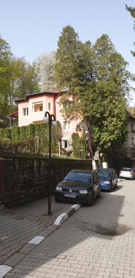 Băile Olăneşti Casa Rosaヴィラ エクステリア 写真