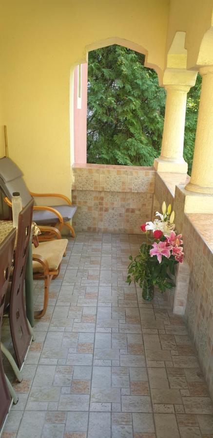 Băile Olăneşti Casa Rosaヴィラ エクステリア 写真