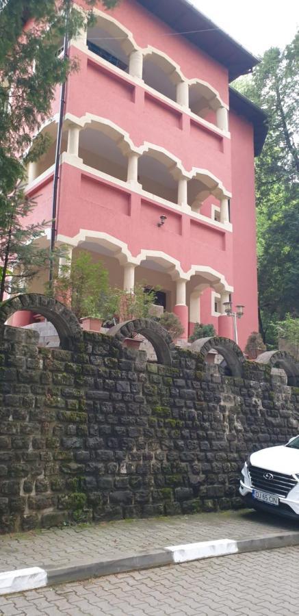 Băile Olăneşti Casa Rosaヴィラ エクステリア 写真