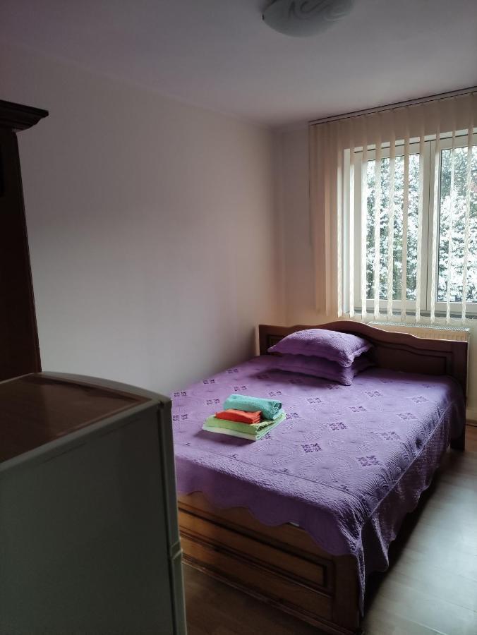Băile Olăneşti Casa Rosaヴィラ エクステリア 写真