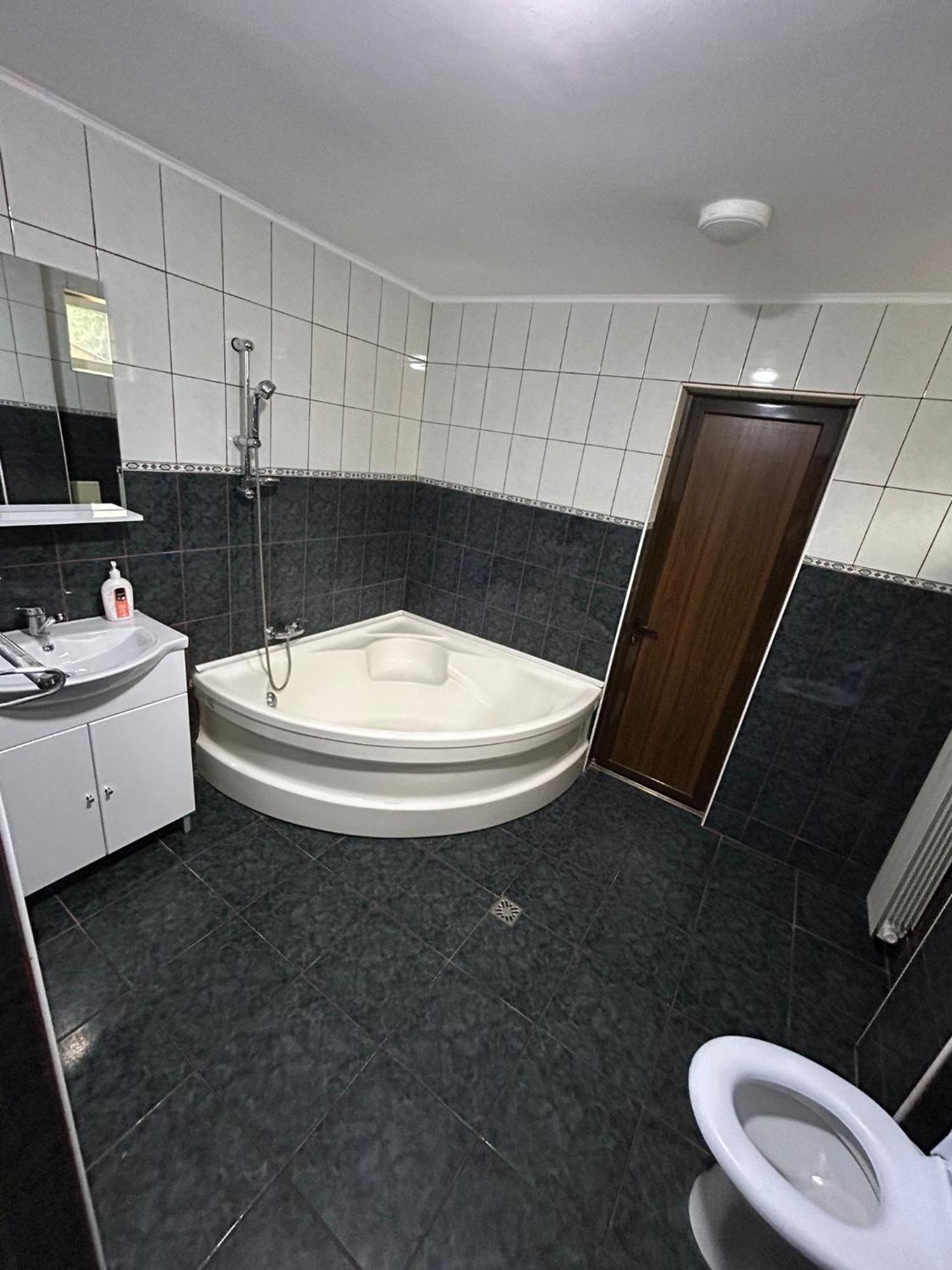 Băile Olăneşti Casa Rosaヴィラ エクステリア 写真