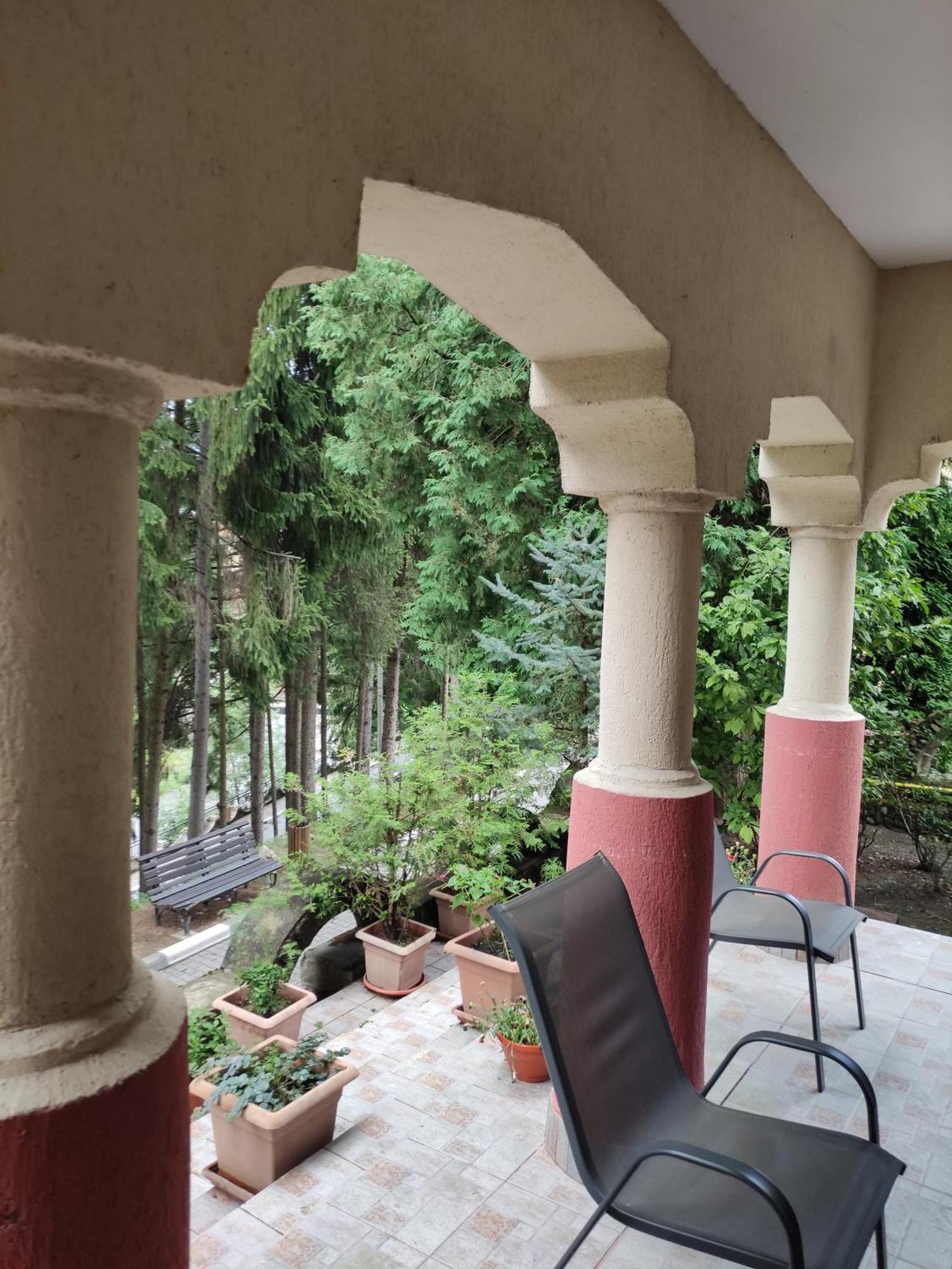 Băile Olăneşti Casa Rosaヴィラ エクステリア 写真