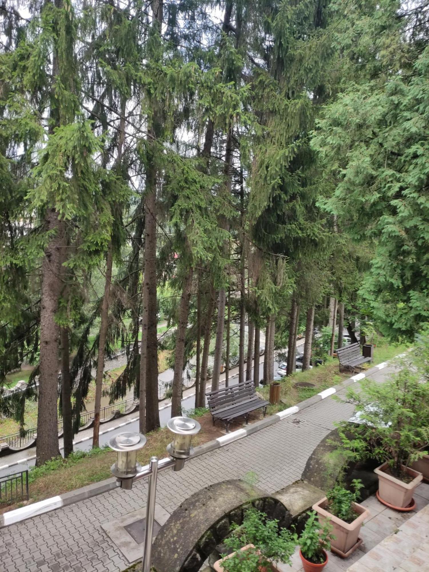 Băile Olăneşti Casa Rosaヴィラ エクステリア 写真