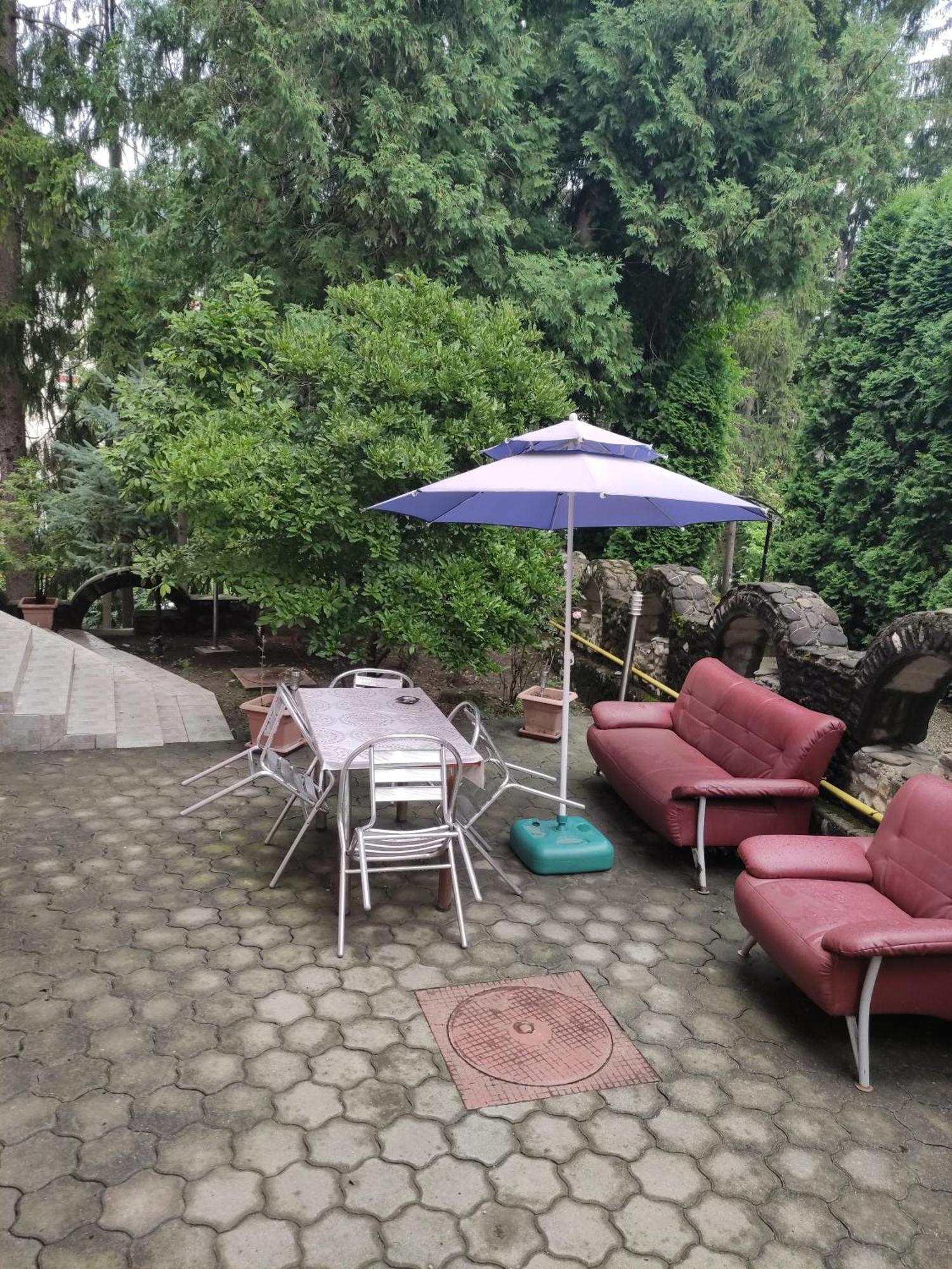 Băile Olăneşti Casa Rosaヴィラ エクステリア 写真