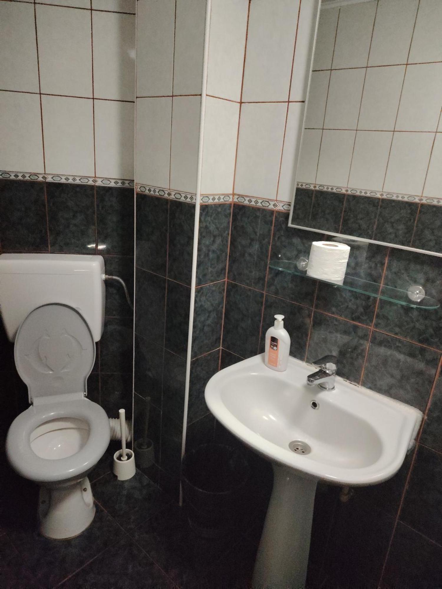 Băile Olăneşti Casa Rosaヴィラ 部屋 写真