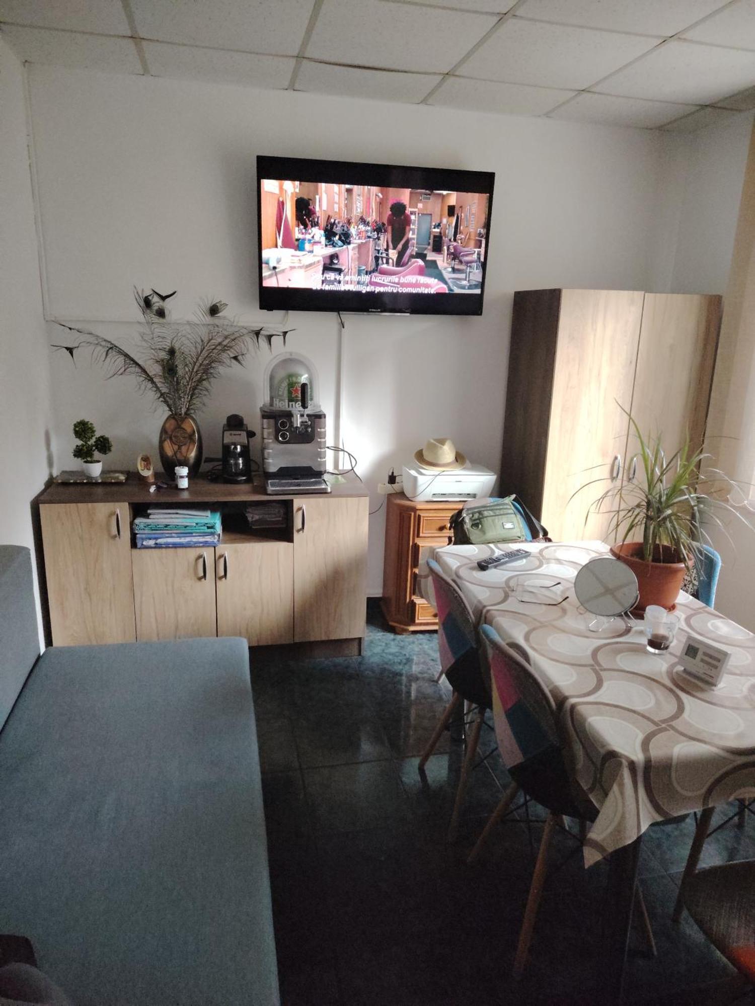 Băile Olăneşti Casa Rosaヴィラ 部屋 写真