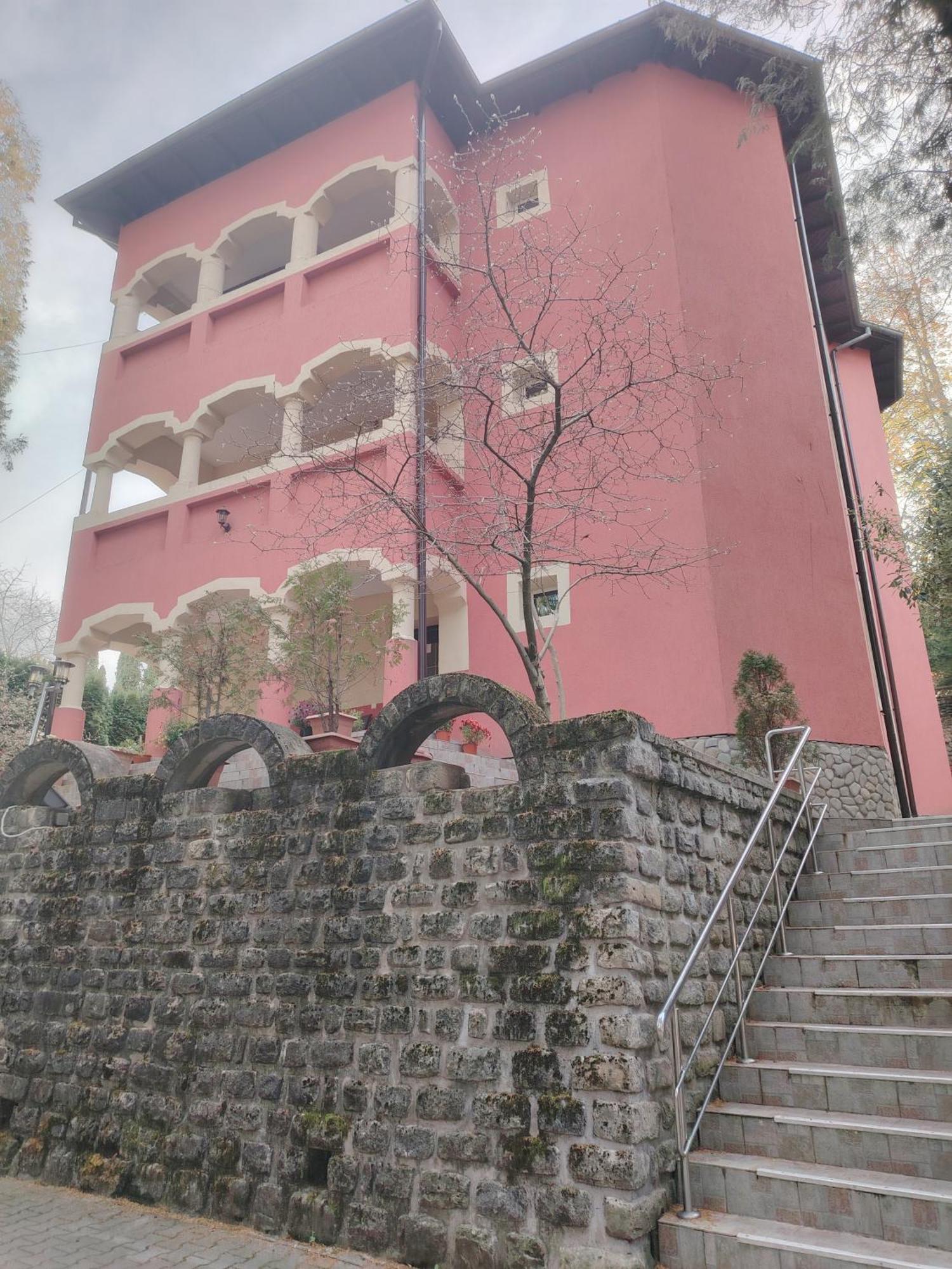 Băile Olăneşti Casa Rosaヴィラ 部屋 写真